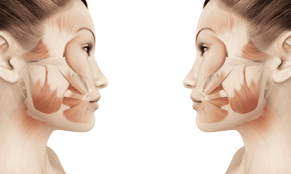 Using Facial Structure to Maximize Beauty, a comparison of a woman's facial muscles is shown side by side.