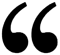 A black and white image of a black cat on a white background.